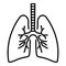 Lungs icon, outline style