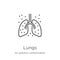 lungs icon vector from air pollution contamination collection. Thin line lungs outline icon vector illustration. Outline, thin