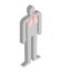 Lungs isometric anatomy of human body. Internal organs 3D. organ
