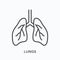 Lungs line icon. Vector outline illustration of man respiratory system. Human bronchus pictorgam