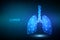 Lungs. Low polygonal human respiratory system lungs anatomy. Treatment of lung diseases. Medicine cure tuberculosis, pneumonia,