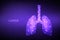 Lungs. Low polygonal human respiratory system lungs anatomy. Treatment of lung diseases. Medicine cure tuberculosis, pneumonia,