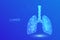 Lungs. Low polygonal human respiratory system lungs anatomy. Treatment of lung diseases. Medicine cure tuberculosis, pneumonia,