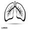 Lungs. Lungs isolated on a light background. Vector illustration