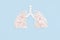 Lungs made of pills. Respiratory system. Diagnosis and treatment. World Tuberculosis Day