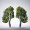 Lungs made of trees isolated on white background, created with generative AI