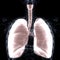 Lungs a Part of Human Respiratory System Anatomy