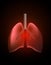 Lungs with a point of pain. Stylized transition from a real organ to an X-ray effect. Medical illustration of lung