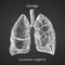 Lungs. Realistic hand-drawn icon of human internal organs on chalkboard. Engraving art Sketch style. Design concept for your