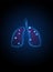 Lungs shape polygonal Symbol. Breathing, Respiratory system. Oxygen disease cancer, asthma, tuberculosis, pneumonia
