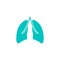 Lungs solid icon, organ and part of body