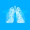 Lungs symbol. Breathing. Lunge exercise. Lung cancer asthma, tuberculosis, pneumonia. Respiratory system. World Tuberculosis Day