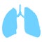 Lungs symbol. Hand drawn grunge design. Breathing. Lunge exercise. Lung cancer asthma, tuberculosis, pneumonia. Respiratory