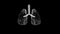 Lungs with trachea bronchi internal organ human
