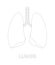 Lungs tracing worksheet for kids