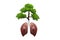 Lungs tree.Healthy life concept. Forest protection concept good environment