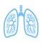 Lungs vector icon