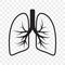 Lungs vector outline icon of cold cough, bronchitis lung disease treatment