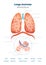 Lungs worksheet vector illustration. Respiratory template education scheme