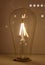 Lunnom Led Light Bulb Lighting Glass Lamp Warm White Lights Filaments Non-dimmable Ambience Bulbs Energy Power Electronics Wire