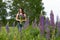 Lupine grows in the meadow. In the background is out of focus is a girl with a bouquet of lupine