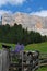 Lupines flowers in Dolomites Val Badia Alta Badia