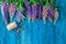 Lupines Flowers on wooden background