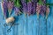 Lupines Flowers on wooden background