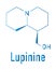 lupinine lupin alkaloid molecule. Skeletal formula. Chemical structure