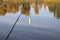 Lure on a fishing rod. Fishing for predatory fish. Perch. Pike. Autumn beautiful lake