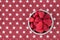 Luscious fresh picked raspberries in a stainless steel bowl on a background of white stars on a field of red, top view