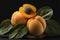 Luscious fresh ripened apricots with leaves