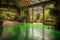 a luscious green dance floor surrounded by natural beauty