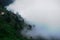 Luscious green trees covered with clouds