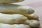 Luscious mature white asparagus tips for sale