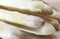 Luscious mature white asparagus tips for sale in spring