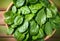A Luscious Top View of Fresh Organic Spinach - Nature\\\'s Green Gift for Vibrant Vegan Lifestyles