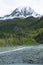 Lush Alaska Wilderness