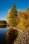 Lush autumn trees on the shore of a lake in Prince Albert National Park, Saskatchewan