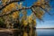 Lush autumn trees on the shore of a lake in Prince Albert National Park, Saskatchewan