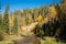 Lush autumn trees on the shore of a river in Prince Albert National Park, Saskatchewan