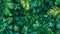 Lush background of varied green tropical leaves in a dense pattern