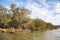 Lush Banks of the Murchison River