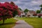 lush blooming crape myrtle tree on green lawn in a neat neighborhood