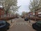 A lush blossoming on a calm living street in Tilburg, Netherlands