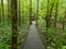 Lush Boardwalk