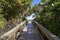 Lush Boardwalk to the Beach, Cocoa Beach, Florida