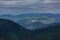 Lush boreal forest panorama view from the top