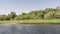 Lush bushes grow on the riverbank.