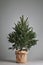 Lush Christmas tree on gray background